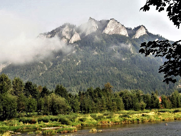View from the river bank of the mountain range. It is covered with forest except for the white peaks that resemble teeth
