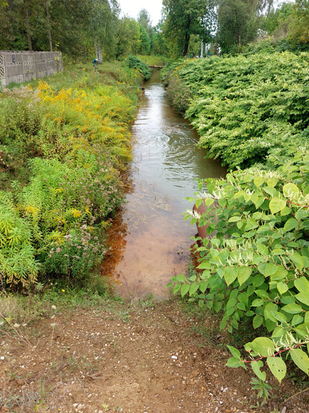 A narrow water channel with vegetation-covered banks, with a fence running along one of the banks