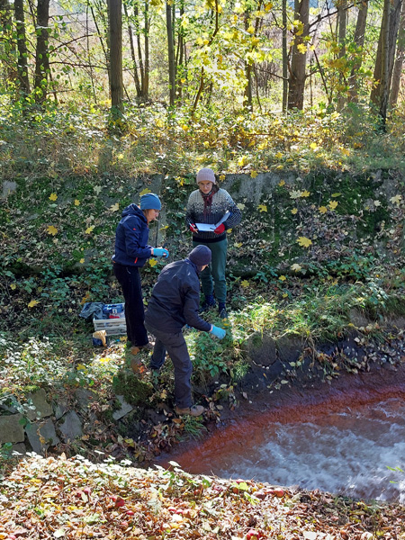 Three people are standing by a stream. One of them is bending down to collect a sample