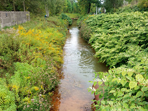 From degradation to revitalization – an innovative method of treating mine water using algae