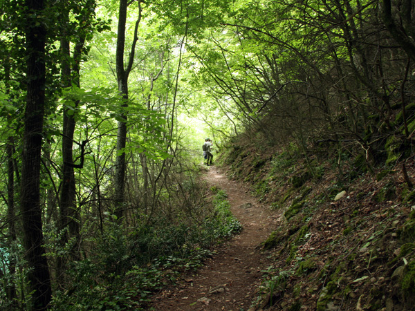 A path crosses a steep slope covered with dense forest; two people are visible at its end