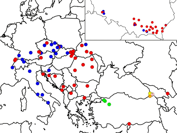 Outlines of European countries and southern Poland with numerous colored pie charts distributed within them