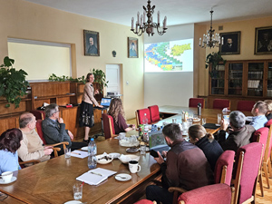 How do plants regulate city temperatures? – Cool City project meeting