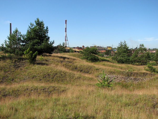 Gently undulating grassy terrain with scattered low trees; industrial buildings with tall chimneys in the distance