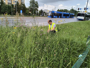 Mowing changes the chemistry of urban lawns – new publication