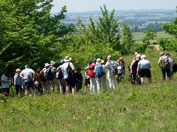 A large group of people stands among grasslands, looking at farmland visible between nearby shrubs