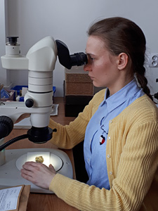 Dr Edyta Mazur