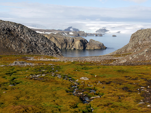 A view from a moss-covered cliff over the bay. Its shores are rocky. On the horizon, the outline of snow-capped mountains